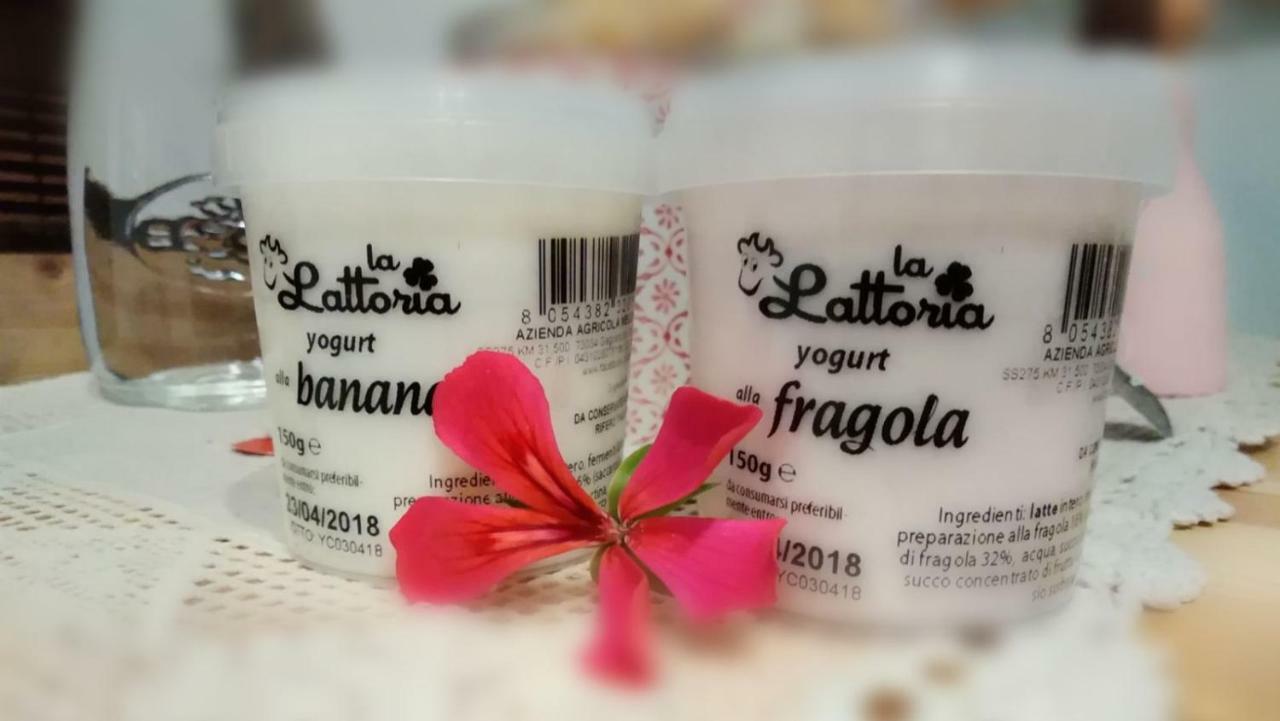 Bed and Breakfast Li Suluri Lecce Zewnętrze zdjęcie